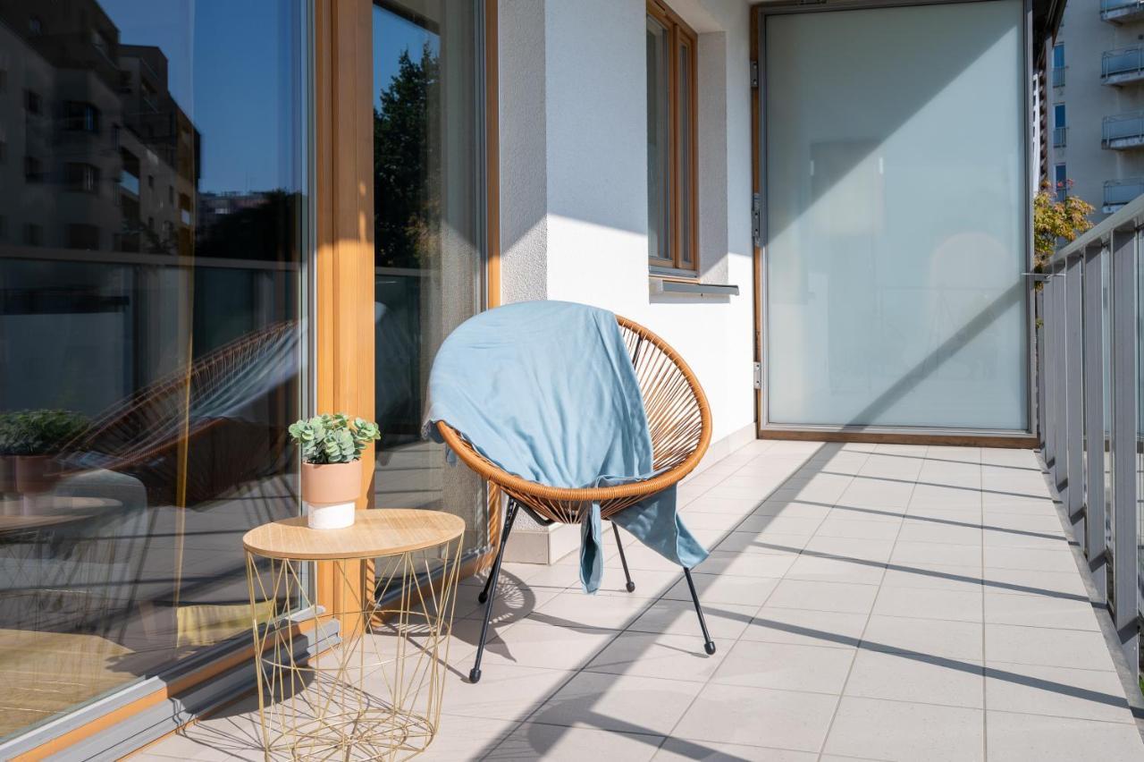 Apartament Bialego Debu Cosy